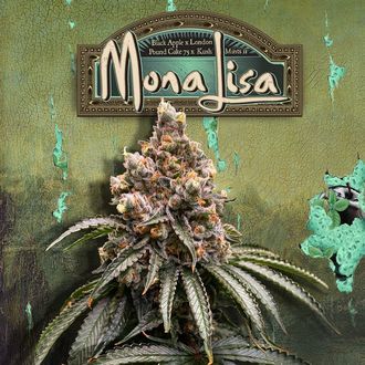 Mona Lisa (T.H.Seeds™) feminisiert Mona Lisa (T.H.Seeds™) feminisiert