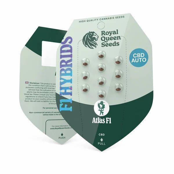 Atlas F1 Auto (Royal Queen Seeds) feminisiert