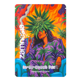 In-Di-Couch Indica Pack – Feminisierte Sorten In-Di-Couch Indica Pack – Feminisierte Sorten