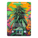 In-Di-Couch Indica Pack – Feminisierte Sorten