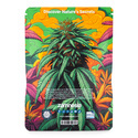 In-Di-Couch Indica Pack - Automatic Sorten