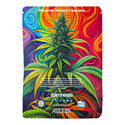 Viva Sativa Pack - feminisierte Sorten