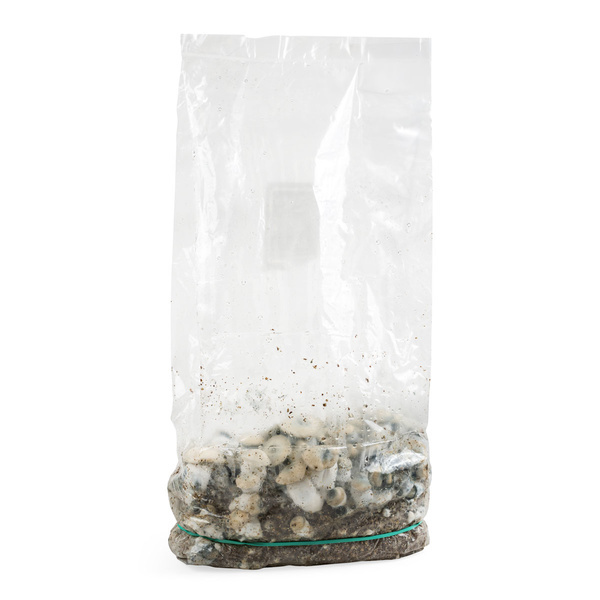 Zamnesia Ready-2-Grow Bag 'Bluey Vuitton