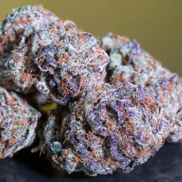 Blue Gem (Paradise Seeds) feminisiert