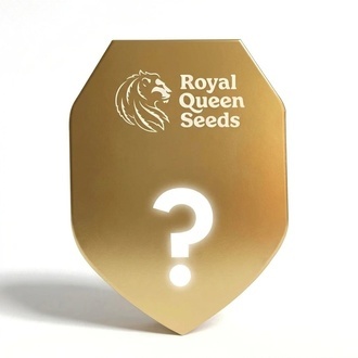 Autoflower F1 Mystery Samen 10 (Royal Queen Seeds)
