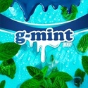 G-Mint (BSF Seeds) feminisiert