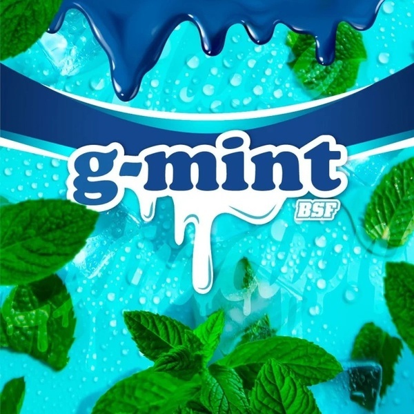 G-Mint (BSF Seeds) feminisiert
