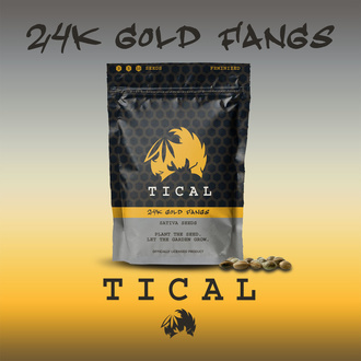 24K Gold Fangs (TICAL) feminisiert