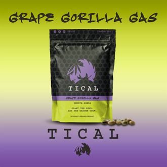 Grape Gorilla Gas (TICAL) feminisiert