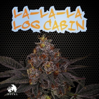 La-La-La Log Cabin (TICAL) feminisiert