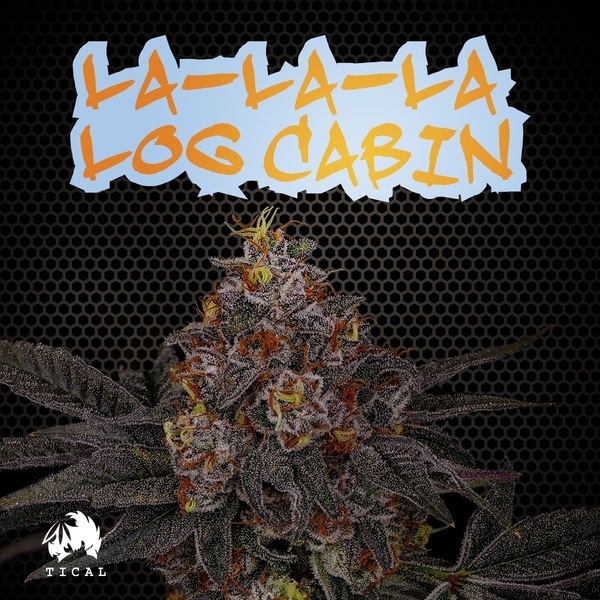 La-La-La Log Cabin (TICAL) feminisiert
