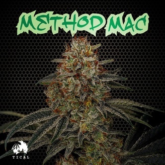 Method Mac (TICAL) feminisiert