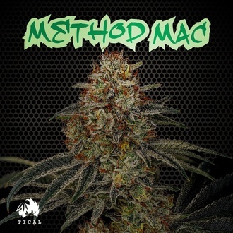 Method Mac (TICAL) feminisiert Method Mac (TICAL) feminisiert