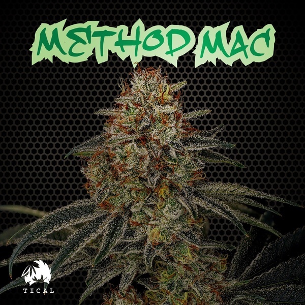 Method Mac (TICAL) feminisiert