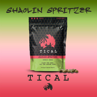 Shaolin Spritzer (TICAL) feminisiert
