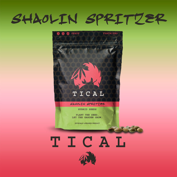 Shaolin Spritzer (TICAL) feminisiert