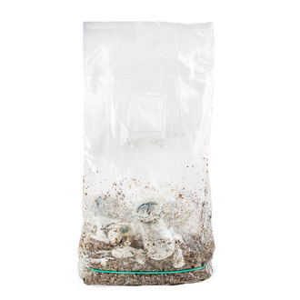 Zamnesia Ready-2-Grow Bag APE