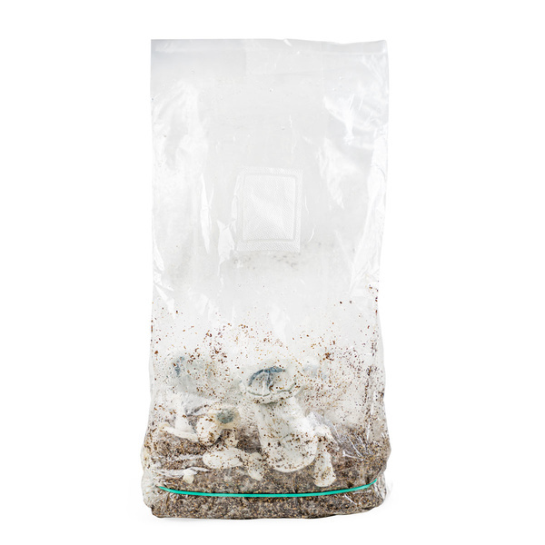 Zamnesia Ready-2-Grow Bag APE