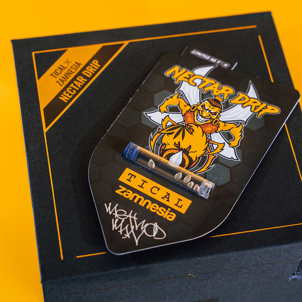 Nectar Drip (Zamnesia Seeds x TICAL) feminisiert