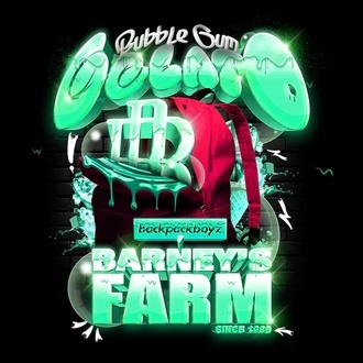Bubblegum Gelato (Barney’s Farm) feminisiert Bubblegum Gelato (Barney’s Farm) feminisiert