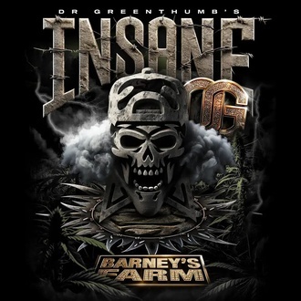 Insane OG (Barney’s Farm) feminisiert Insane OG (Barney’s Farm) feminisiert