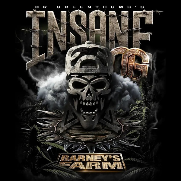 Insane OG (Barney’s Farm) feminisiert