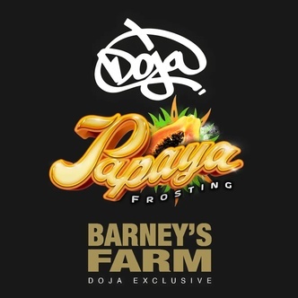 Papaya Frosting (Barney's Farm) feminisiert