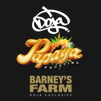 Papaya Frosting (Barney's Farm) feminisiert Papaya Frosting (Barney's Farm) feminisiert