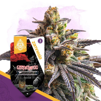Godfather OG (Zamnesia Seeds) feminisiert