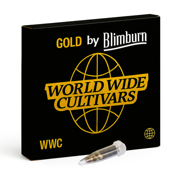 CBD ACDC (Blimburn Seeds) feminisiert