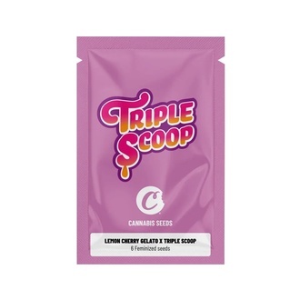 Lemon Cherry Gelato x Triple Scoop (Cookies) feminisiert