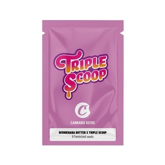 Berniehana Butter x Triple Scoop (Cookies) feminisiert