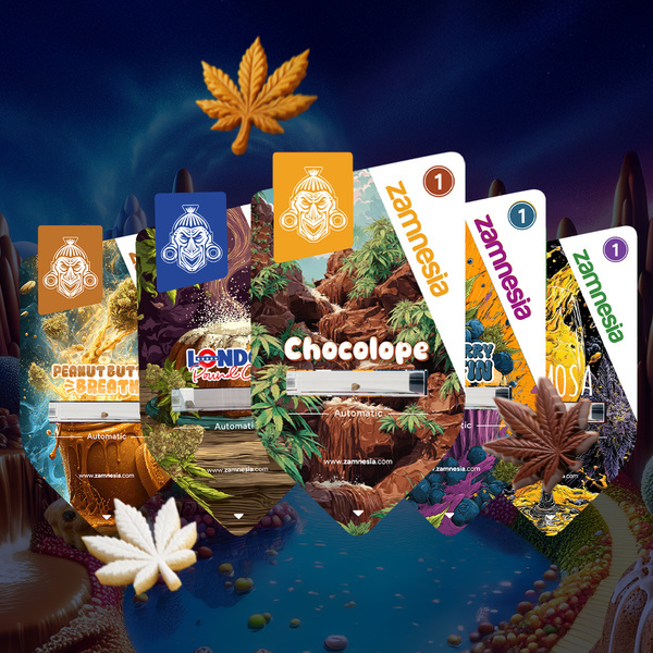 Sugar Valley Automatic Bundle (Zamnesia Seeds) feminisiert