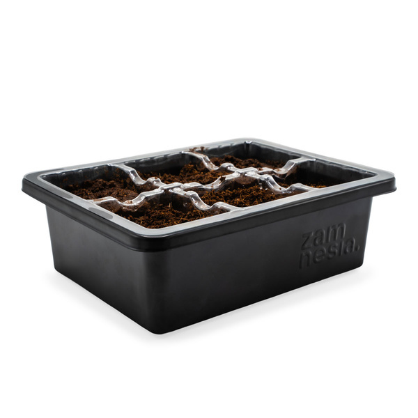 Anzuchtset für Samen (Zamnesia)