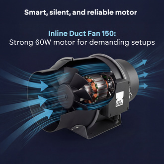 Growbox komplettset 120×120 (Zamnesia)