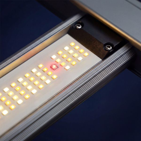 Phytonaut LED Growlampe 480 W (Zamnesia)