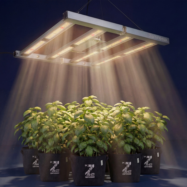 Phytonaut LED Growlampe 480 W (Zamnesia)