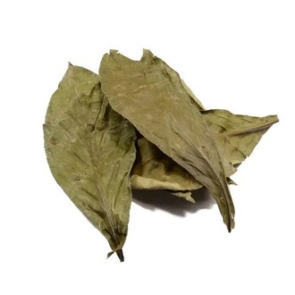 Chacruna (Psychotria viridis) 50 Gramm