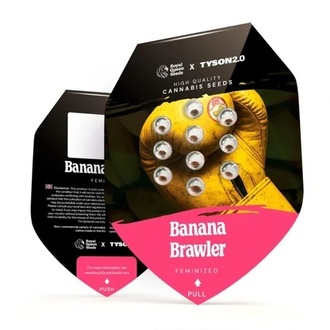 Banana Brawler (Royal Queen Seeds) feminisiert