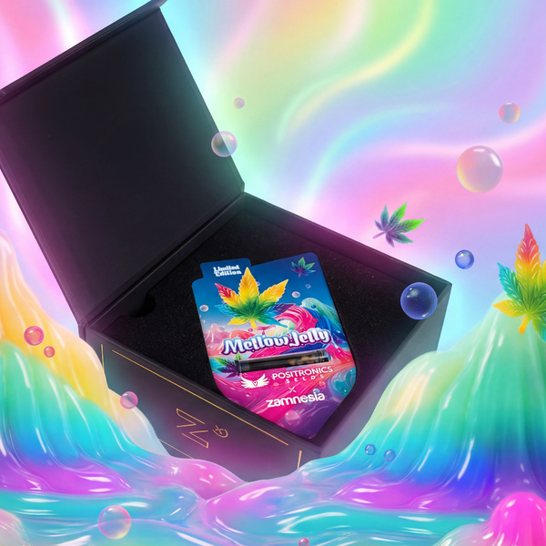 Mellow Jelly (Positronics Seeds x Zamnesia Seeds) feminisiert