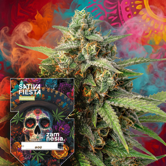 Sativa Fiesta (Zamnesia Seeds) feminisiert