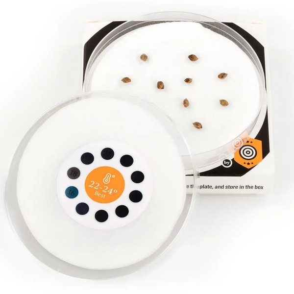 Sproutly – Smart Germinator (Kannabia)