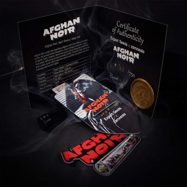 Afghan Noir (Zamnesia Seeds x Expert Seeds) feminisiert