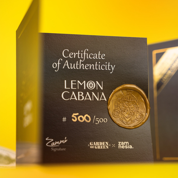 Lemon Cabana (Zamnesia Seeds x Garden of Green) Feminisiert