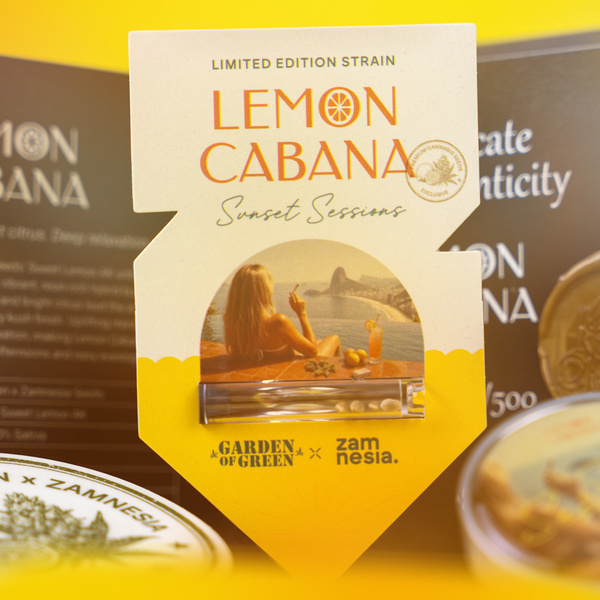 Lemon Cabana (Zamnesia Seeds x Garden of Green) Feminisiert
