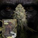 Gorilla Piss Fast Version (Zamnesia Seeds) feminisiert