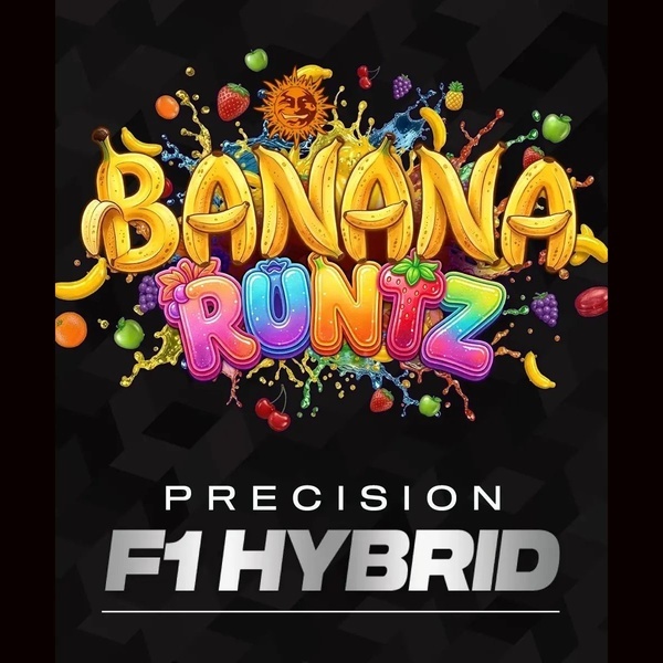 Banana Runtz F1 (Barney's Farm) feminisiert