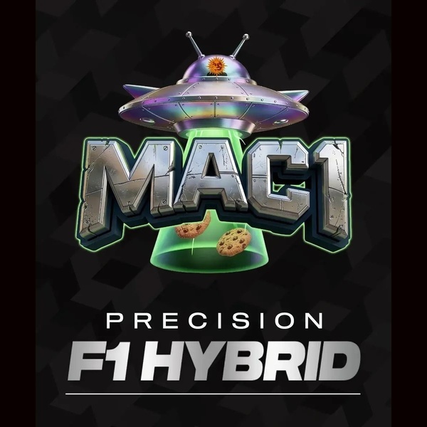 MAC 1 F1 (Barney's Farm) feminisiert
