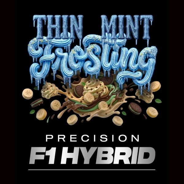 Thin Mint Frosting F1 (Barney's Farm) feminisiert