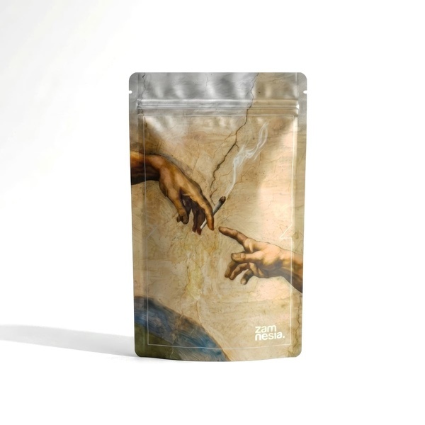High Art Z-Lock Stash Bag (Extra Large) (Zamnesia)